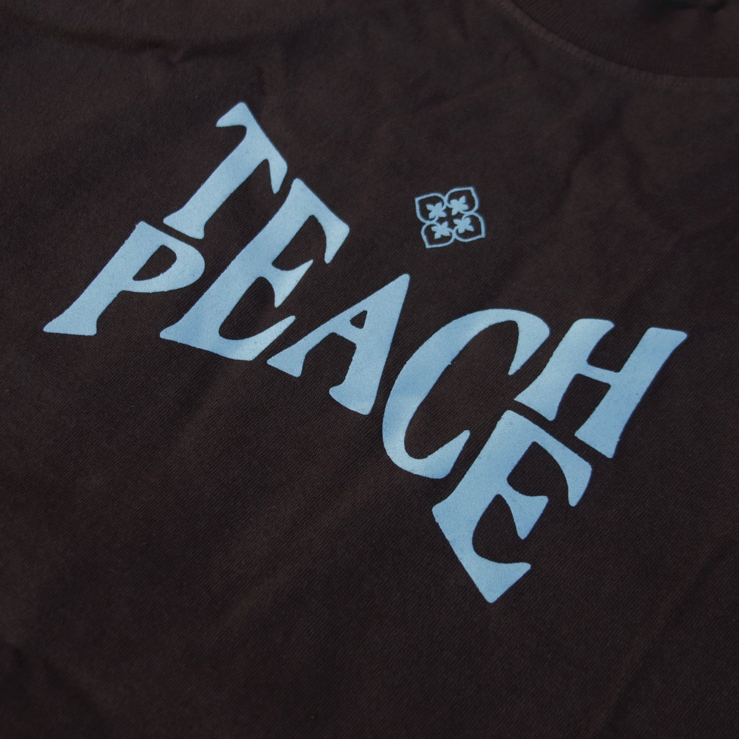 Teach Peace Graphic T-Shirt